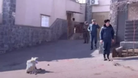 Քաղաքացիները Բելառուսի դեսպանատան առջև պարկով կարտոֆիլ և աղբ թողեցին