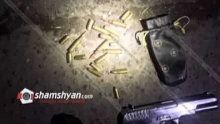 Դետեկտիվ ժանրի հետապնդում Երևանում