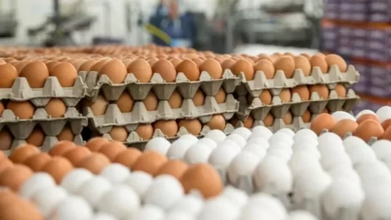 «Եթե լուծում չտրվի, ձվի արկղերով փողոցները կփակենք». ինչ է կատարվում ձվի շուկայում