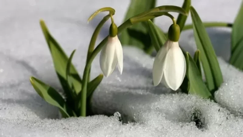 Տեղ-տեղ հնարավոր են կարճատև անձրևներ. ջերմաստիճանը աստիճանաբար կբարձրանա