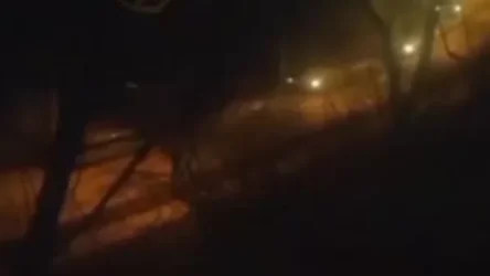 ՏԵՍԱՆՅՈՒԹ. Մեծ թվով զրահամեքենաներ և ռազմական տեխնիկա. գիշերը՝ Դոնեցկի և Լուգանսկի ճանաչումից հետո