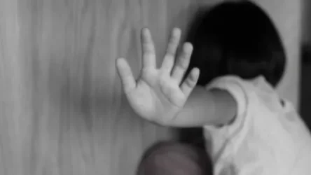 4-ամյա աղջիկը՝ այրունազեղումներ, հետանցքի ճաք, կապտուկներ ախտորոշմամբ տեղափոխվել է հիվանդանոց․ Shamshyan