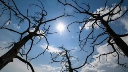 Օդի ջերմաստիճանը կբարձրանա. առաջիկա օրերի եղանակային կանխատեսումը