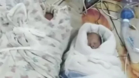 ՏԵՍԱՆՅՈՒԹ. Դնեպրի մանկական հիվանդանոցի ինտենսիվ թերապիայի բաժնի նորածինները՝ ժամանակավոր ապաստարանում