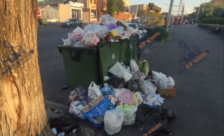 ԼՈՒՍԱՆԿԱՐՆԵՐ. Երևանում ամեն քայլափոխի աղբ է կուտակված. ավագանու անդամ