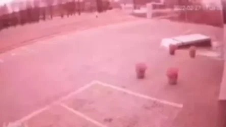 ՏԵՍԱՆՅՈՒԹ. Ժիտոմիրի օդանավակայանին Բելառուսի տարածքից են հարվածել. պաշտոնական