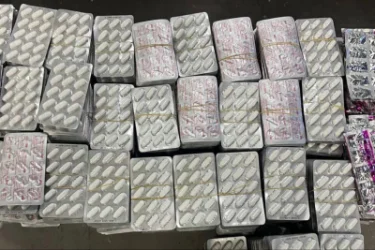 ՏԵՍԱՆՅՈՒԹ. ՊԵԿ-ը կանխել է մաքսային հսկողությունից թաքցված դեղորայքի ներկրման փորձը