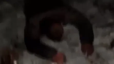 18+ ՏԵՍԱՆՅՈՒԹ. Նյարդերից թույլ մարդկանց խորհուրդ է տրվում չդիտել. կրակում և սպանում են խաղաղ բնակիչներին