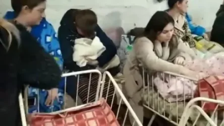 ՏԵՍԱՆՅՈՒԹ. Կադրեր՝ Օդեսայի ծննդատան ռմբապաստարանից