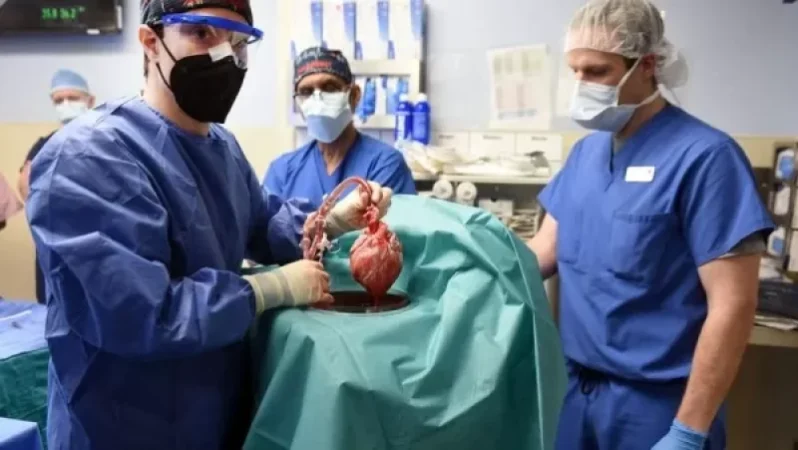 ԱՄՆ-ում մահացել է պացիենտը, որին առաջին անգամ խոզի սիրտ են փոխպատվաստել