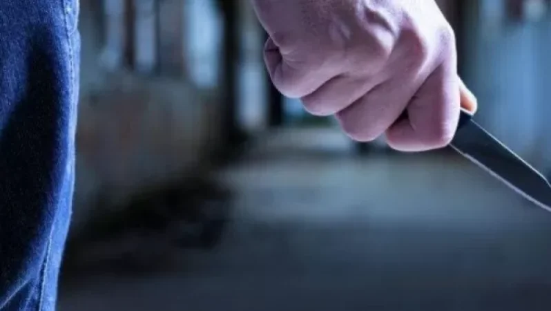 Դանակահարություն՝  «Փարվանա» ռեստորանային համալիրում. բժիշկները պայքարում են վիրավորի կյանքի համար. Shamshyan. com