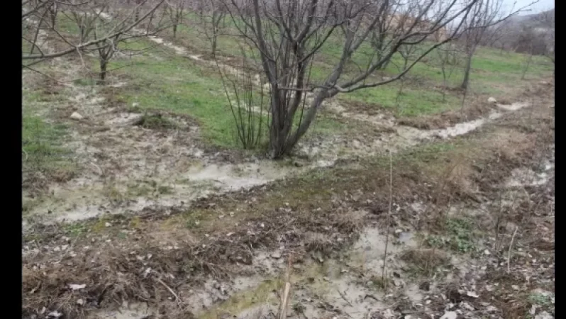 Էկոլոգիական հանցագործությունները Սյունիքում շարունակվում են. Լևոն Գալստյան