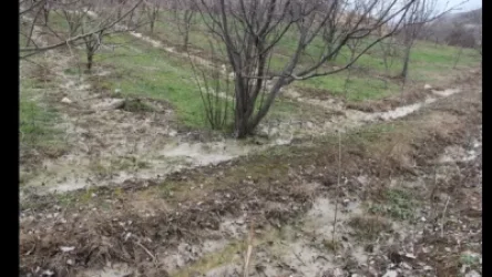 Էկոլոգիական հանցագործությունները Սյունիքում շարունակվում են. Լևոն Գալստյան