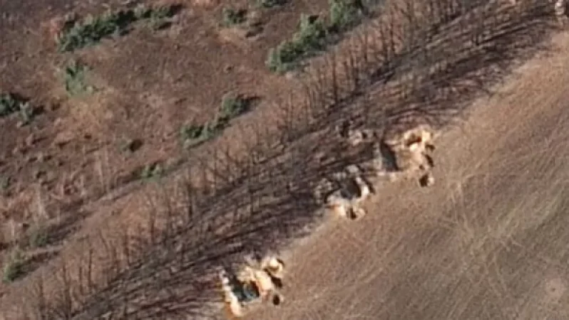 PHOTO: Russian Troops Dig Trenches Around Their Equipment