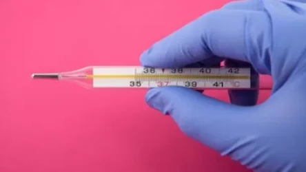 Սնդիկով ջերմաչափեր այլևս չեն վաճառվի, կա՞ էլեկտրոնայինների նորմալ գներով համապատասխան խմբաքանակ․ էլիբեգովա