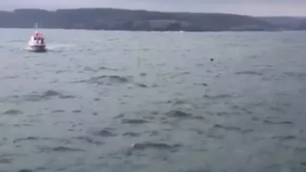 ՏԵՍԱՆՅՈՒԹ. Բոսֆորի նեղուցում հայտնաբերված իրը հնացած ական է․ նավագնացության համար որևէ խնդիր չկա