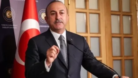 Չավուշօղլուն` թուրք զինվորականներին Ուկրաինա ուղարկելու լուրի մասին