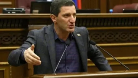 Աղջիկ, ուզում եմ հասկանալ, թե նախ, դու որպես ի՞նչ ես արձագանքում Ծառուկյանին․ Գևորգ Պետրոսյանը՝ վարչապետի խոսնակին