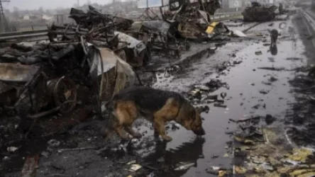 18+ ՏԵՍԱՆՅՈՒԹ․ ԼՈՒՍԱՆԿԱՐՆԵՐ․ Դիեր, ավերված տարածք․ Associated Press–ի ֆոտոշարքը՝ Կիևի արվարձաններից