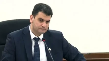 ՏԵՍԱՆՅՈՒԹ. «Կենտրոնով ման էի գալիս՝ ինչ-որ մեկը առևտրային կենտրոն ա սարքել, ի՞նչ ենք անում». քաղաքապետ