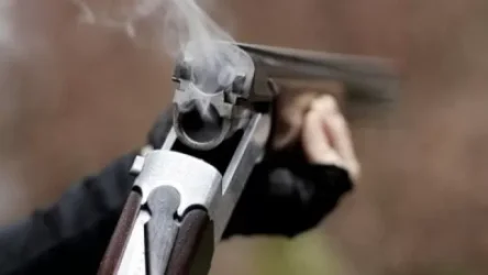 Գյումրիում որսորդական հրացանից կրակել են «Նիսան Մարչի» վրա