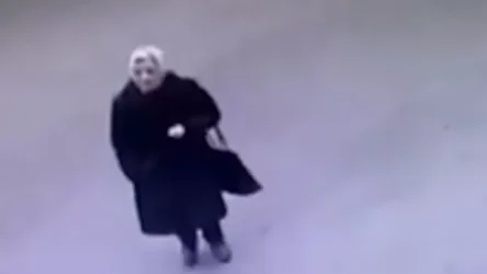 ՏԵՍԱՆՅՈՒԹ. Կինն անհետ կորել է