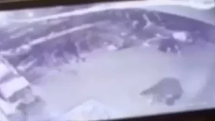 ՏԵՍԱՆՅՈՒԹ․ Առաջին կադրերը՝ Թել Ավիվում տեղի ունեցած ահաբեկչությունից