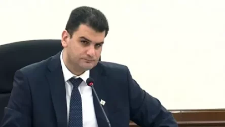 Բերեցինք, փոսը փորեցինք, ինձ մի բան ասեք` ծառատունկ ե՞րբ ենք անում․ քաղաքապետը՝ Բնապահպանության վարչության պետին