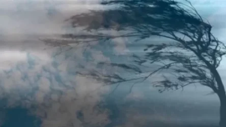 ԶԳՈՒՇԱՑՈՒՄ․ Այսօր սպասվում է քամու ուժգնացում․ հնարավոր է կոտրվեն ծառեր և վնասվեն տանիքներ