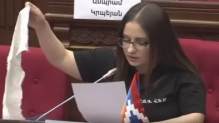 ՏԵՍԱՆՅՈՒԹ. «Ջուրը քաշեք թող էթա». դահլիճից` ընդդիմադիր պատգամավորին