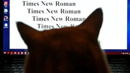 Times New Roman, Arial, Verdana, Tahoma և Helvetica տառատեսակները արգելափակվել են ռուսաստանցի օգտատերերի համար. Ведомости