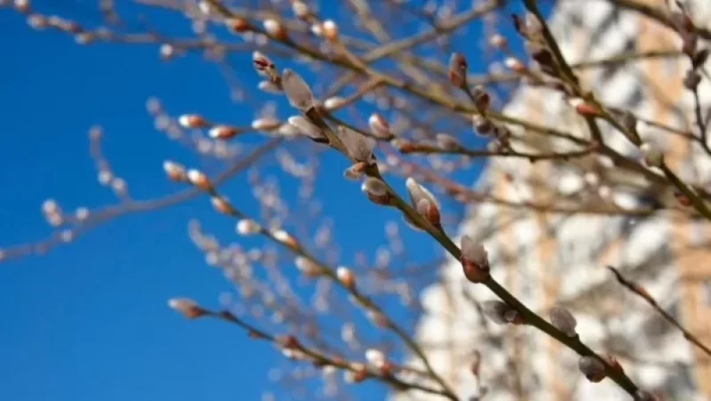 Օդի ջերմաստիճանը կբարձրանա