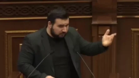 ՏԵՍԱՆՅՈՒԹ․  9-րդ դասարանցի աղջնակը հասկանում է այդքանը, բայց տարիների քաղաքական փորձով մարդիկ դա չեն հասկանում