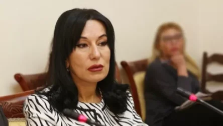 Արցախը լինելու է Ադրբեջանի կազմում ու դրա համար էր Ալիևի` օրեր առաջ արված հայտարարությունը. Նաիրա Զոհրաբյան