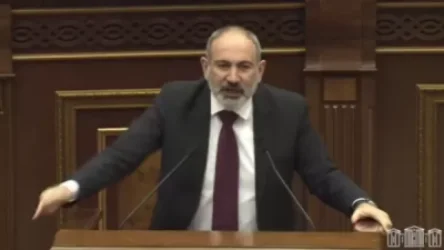 ՏԵՍԱՆՅՈՒԹ. Մենք մատաղացու գառ չենք, մենք ախոռ չենք, մենք երկիր ենք. Փաշինյանը բորբոքվեց