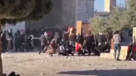 ՏԵՍԱՆՅՈՒԹ. «Քարերով պատերազմ». նոր կադրեր Երուսաղեմի Տաճարի լեռան վրա զանգվածային բախումներից