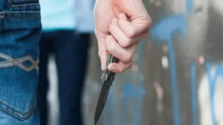 Արտակարգ դեպք Երևանում. 19-ամյա երիտասարդը հայտնել է, որ իրեն դանակահարել է հորաքրոջ աղջիկը. Shamshyan. com