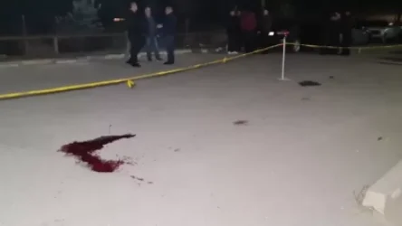 Տեսանյութ՝ դեպքի վայրից․ սպանության մեջ մեղադրվող փեսան ձերբակալվել է