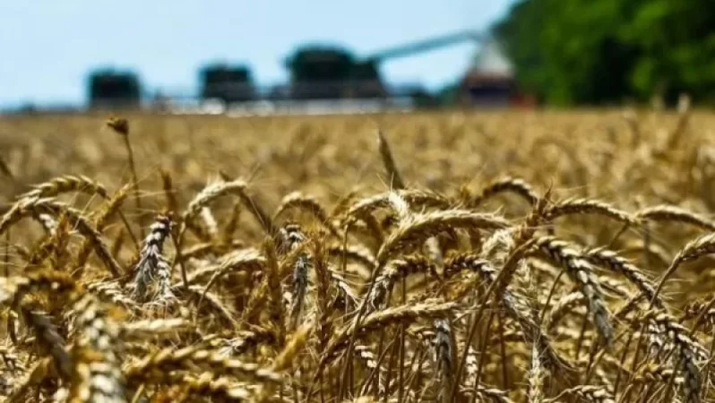 Ղազախստանը դժգոհ է ԵԱՏՄ երկրներ հացահատիկի արտահանման արգելքից