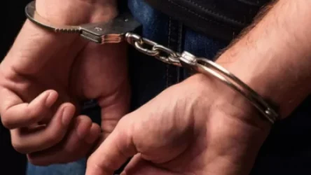 Բերման են ենթարկել «Պռոշյանցի Մուլտոյին»․ ծեծի էր ենթարկել 20-ամյա տղային, տեսագրել ու հրապարակել․ Shamshyan