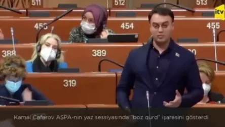 ՏԵՍԱՆՅՈՒԹ. Ծայրահեղ ազգայնական «Գորշ գայլերը» հասել են նաև ԵԽԽՎ․ ադրբեջանագետ