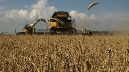 Ինչով է պայմանավորված գյուղատնտեսության ոլորտում անկումը․ էկոնոմիկայի փոխնախարարը պարզաբանում է