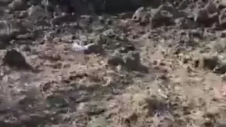 ՏԵՍԱՆՅՈՒԹ. Բրյանսկում ՌԴ ՀՕՊ-ի կողմից հայտնաբերվել է Ուկրաինայի ԶՈւ ինքնաթիռ