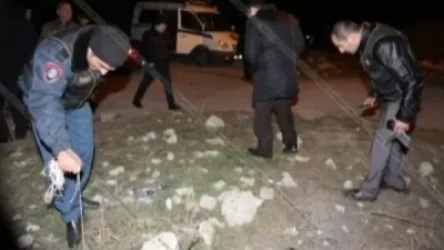 Կրակոցներ են արձակել Կենդանաբանների և հիդրոէկոլոգիայի գիտական կենտրոնի դռան և պատուհանի ապակիների վրա