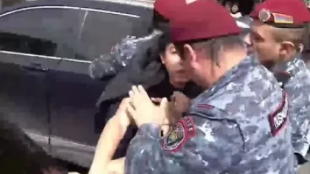 ՏԵՍԱՆՅՈՒԹ․ «Թողե՛ք երեխայա, թողե՛ք». ոստիկանները բերման են ենթարկում ցույցի մասնակիցներին