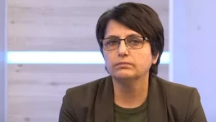 «Ինչո՞ւ են դպրոցական երեխաները դարձել քաղաքական շահարկումների նյութ և ովքեր են նրանք»․ Կարին Տոնոյան