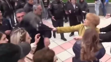 ՏԵՍԱՆՅՈՒԹ․  Փաշինյանին պաշտպանող կինը ապտակ ու պայուսակով հարված հասցրեց ցուցարարին