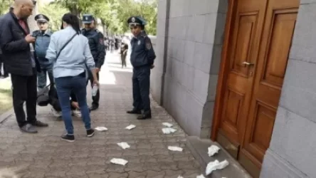 ՏԵՍԱՆՅՈՒԹ. Երթի մասնակից կանայք տակդիրներ թողեցին ԱԺ-ի մոտ