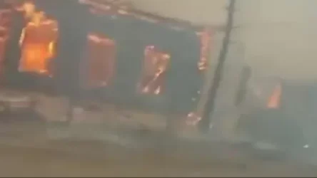 ՏԵՍԱՆՅՈՒԹ. Անտառային հրդեհներ` Կրասնոյարսկում. կան զոհեր և վիրավորներ