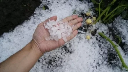 Առաջիկա 4 օրվա եղանակի կանխատեսում